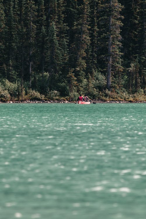 Gratis lagerfoto af 4k, Alberta, banff national park