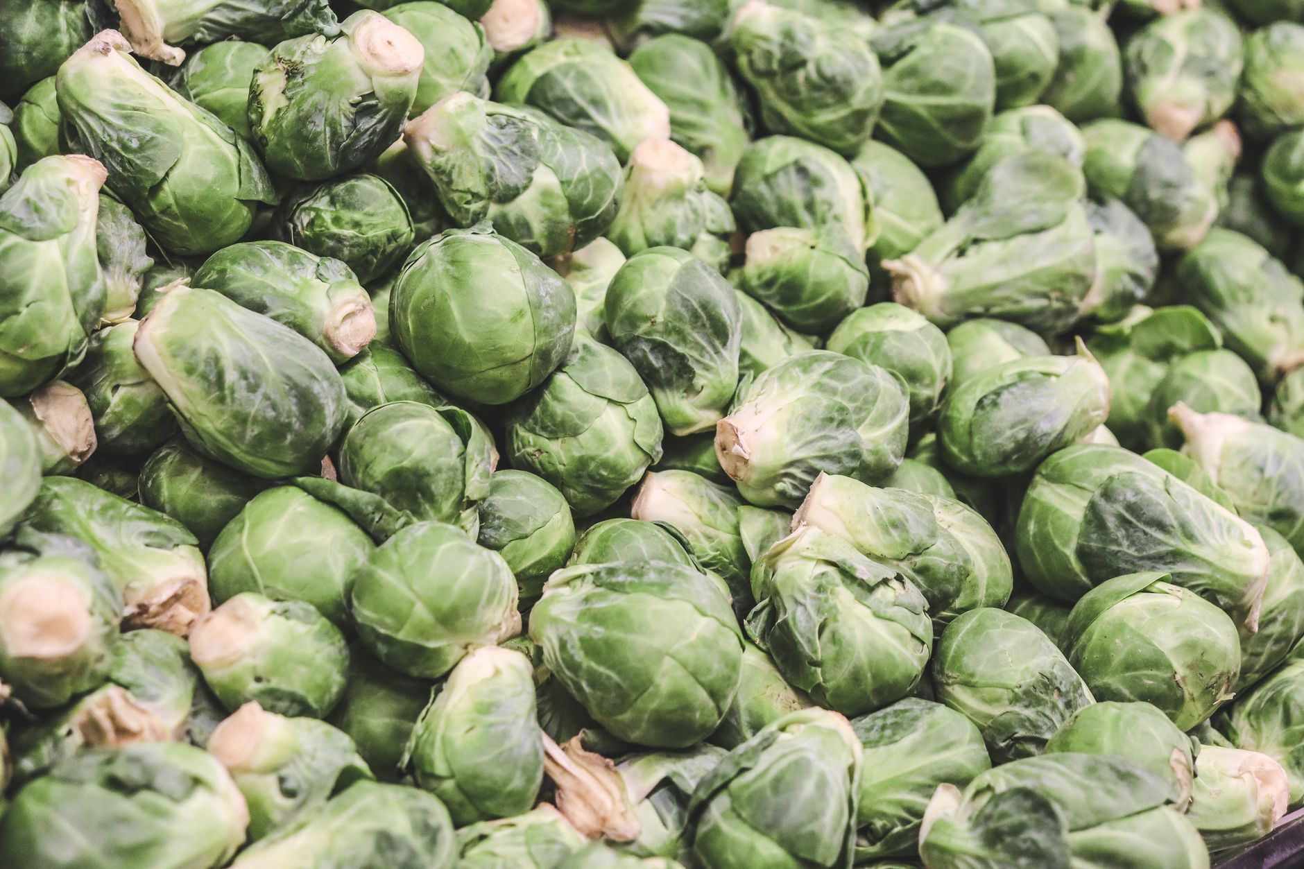The Anti-Inflammatory Diet: How to Eat Your Way to Less Pain and More Energy