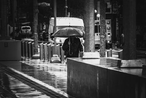 Kostnadsfri bild av betong, paraply, regn