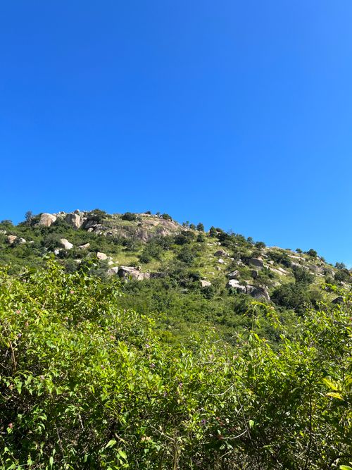 Free A scenic view of lush green hills with a clear blue sky in the background, offering a serene nature landscape. Stock Photo