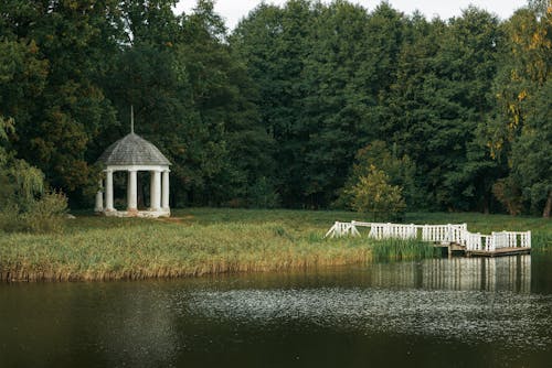 Lake by the Coniferous Forest 