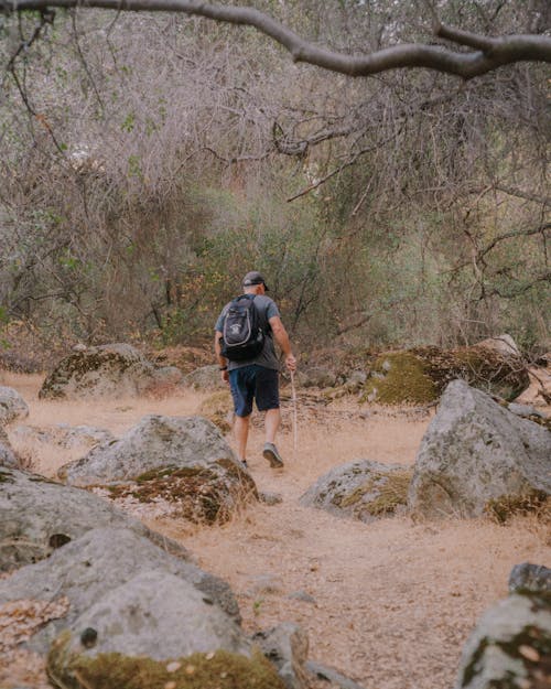 Backpacker Hiking in the Wild