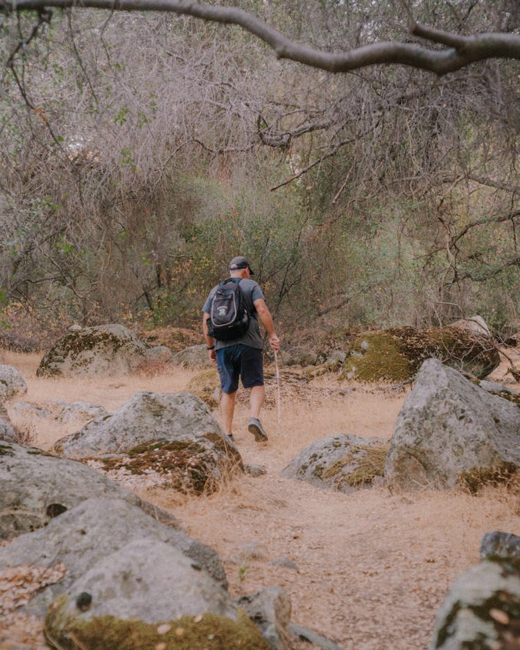 Backpacker Hiking In The Wild