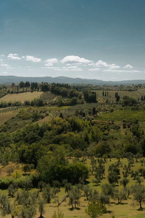 Free Capture the rolling hills and lush vineyards of San Gimignano, Tuscany on a sunny day. Stock Photo