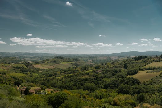 A breathtaking view of the lush green hills and fields of San Gimignano, Tuscany under a clear summer sky.