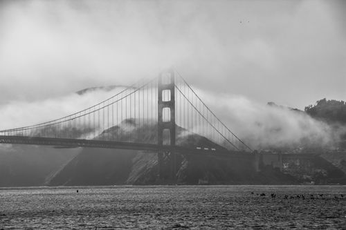 Free A stunning grayscale image of the iconic Golden Gate Bridge enveloped in fog over the San Francisco Bay. Stock Photo