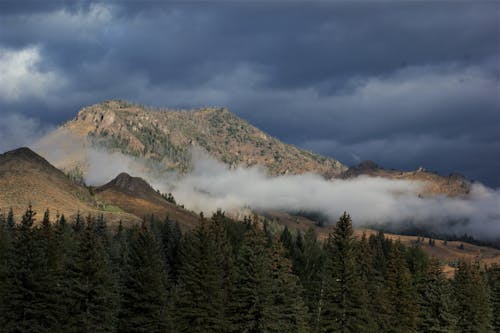 Landscape of a Coniferous Forest and Rocky Mountains under a Cloudy Sky 