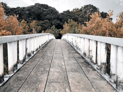 Základová fotografie zdarma na téma most