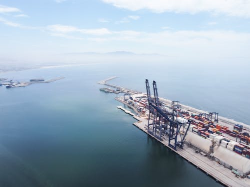 Crane Birds and Logistics Containers in Port