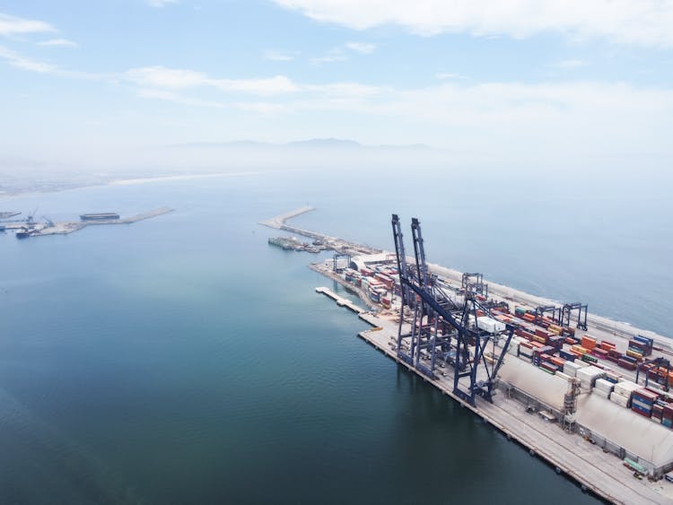 Crane Birds And Logistics Containers In Port