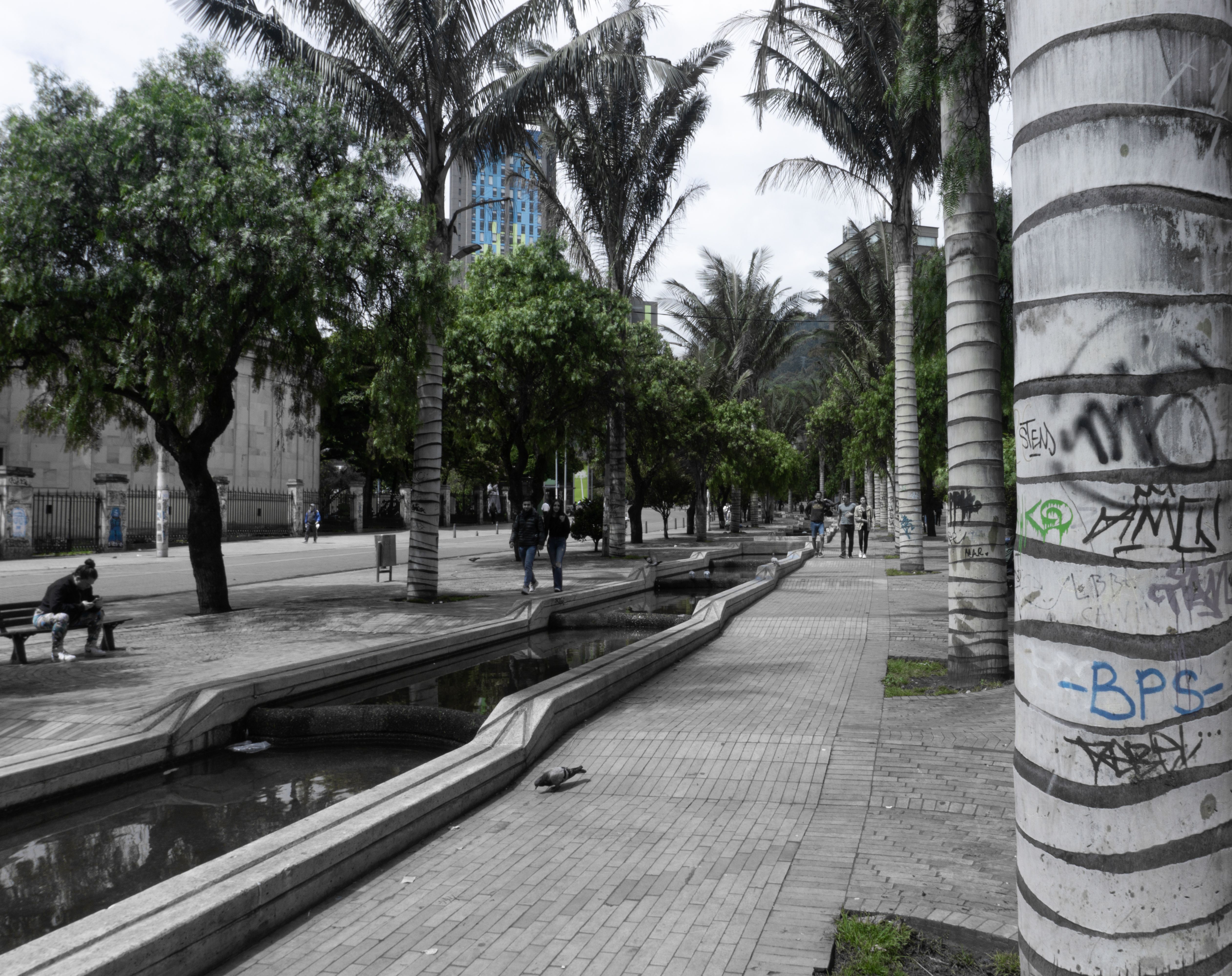 Luxury San Patricio