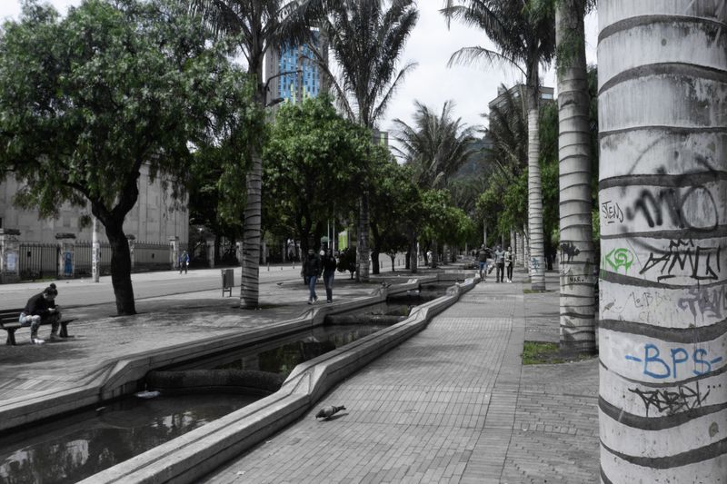 Scenic view of Bogotá's pedestrian area lined with palm trees and a canal.
