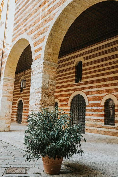 Free Explore the striking arches and historic architecture of a Verona corridor with a potted plant. Stock Photo