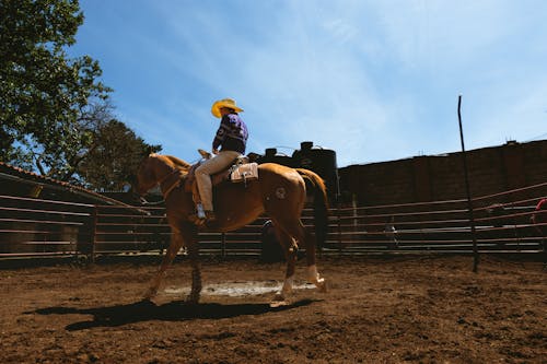 Man Wearing Cowboy Hat Riding Brown Horse