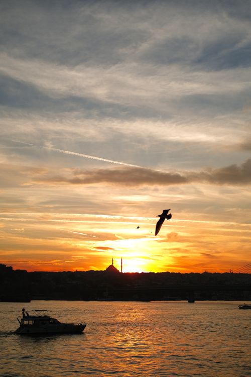 Free A stunning sunset over the Bosphorus in İstanbul with a silhouette of a boat and a flying bird. Stock Photo