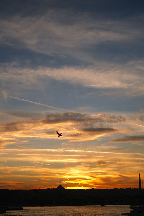 Free Captivating sunset with a silhouetted bird soaring above an urban skyline, highlighting a dramatic evening sky. Stock Photo