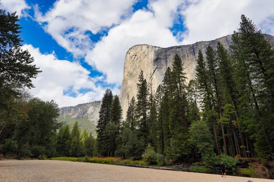 El Capitan rising above the Yosemite Valley floor