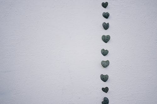 Heart Shape Leaves on White Surface