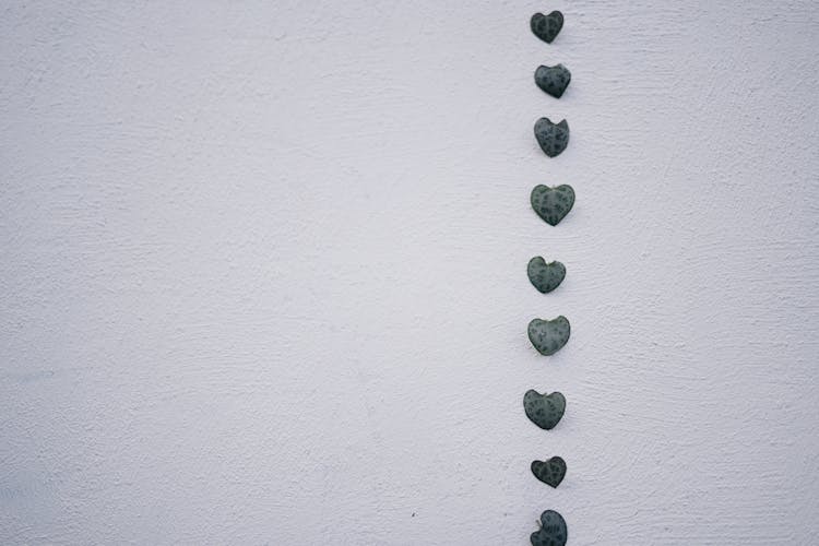 Heart Shape Leaves On White Surface