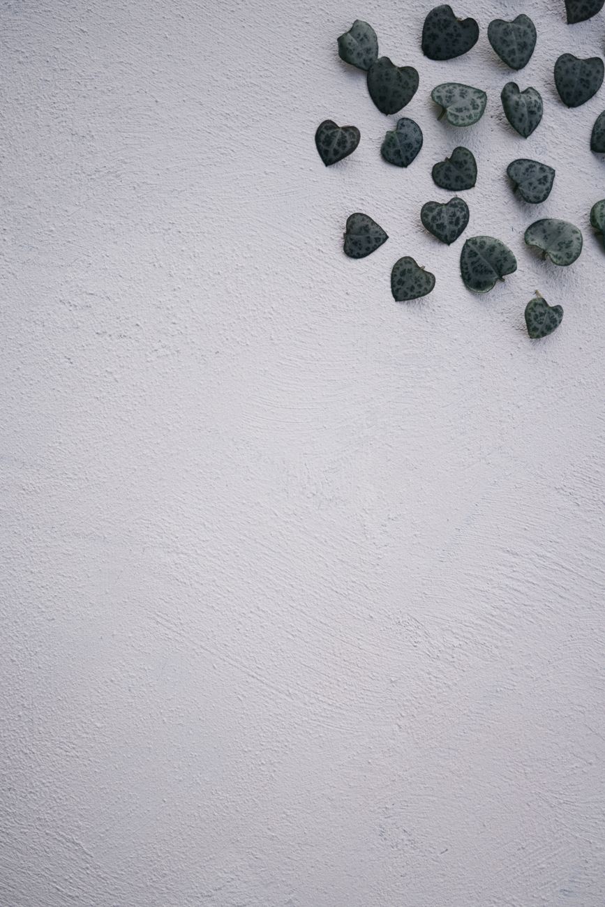 Decorative heart-shaped leaves scattered on a white textured wall, offering ample copy space.