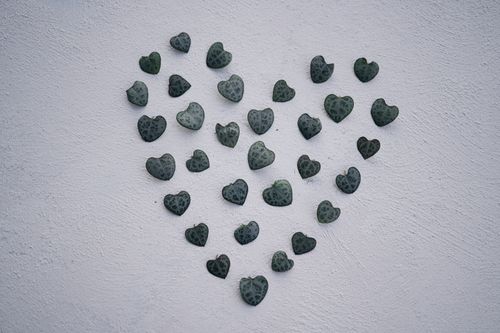Free A heart-shaped arrangement of small green leaves on a textured white surface, minimalist style. Stock Photo