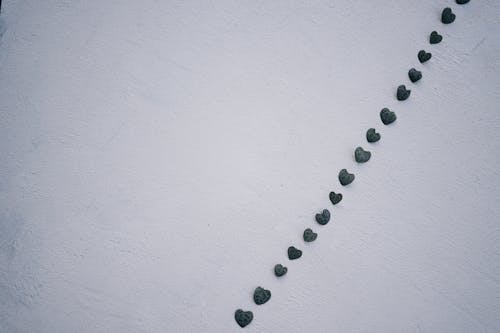 Heart Shaped Leaves on a White Concrete Surface