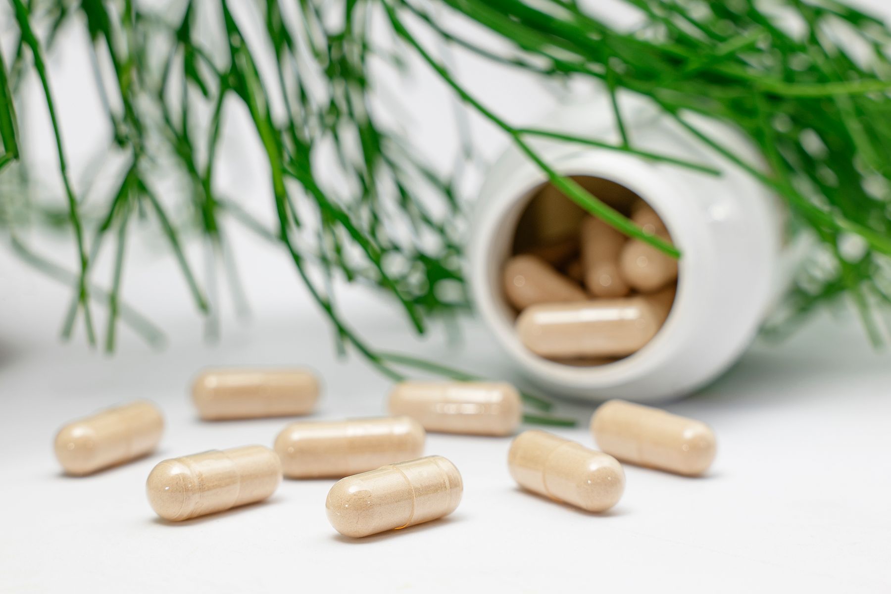 Capsules spilled from a white supplement bottle beside green botanicals