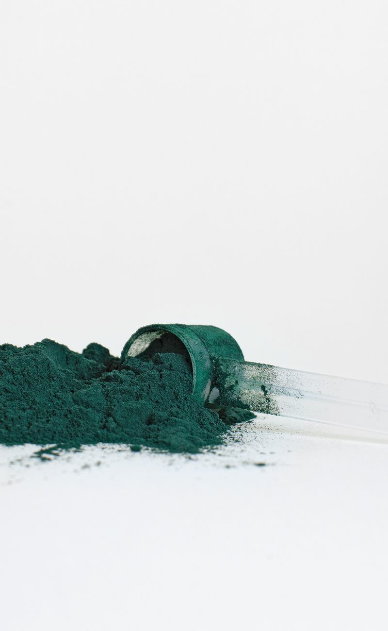 Best Pre-Workout Supplements for Maximum Gym Performance (2026)