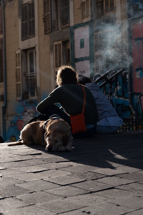 People Sitting beside a Sleeping Dog on a City Street