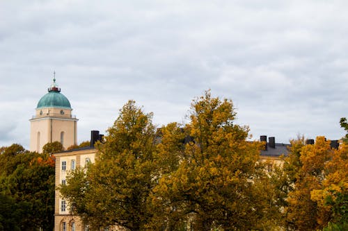 Immagine gratuita di alberi, chiesa di suomenlinna, città