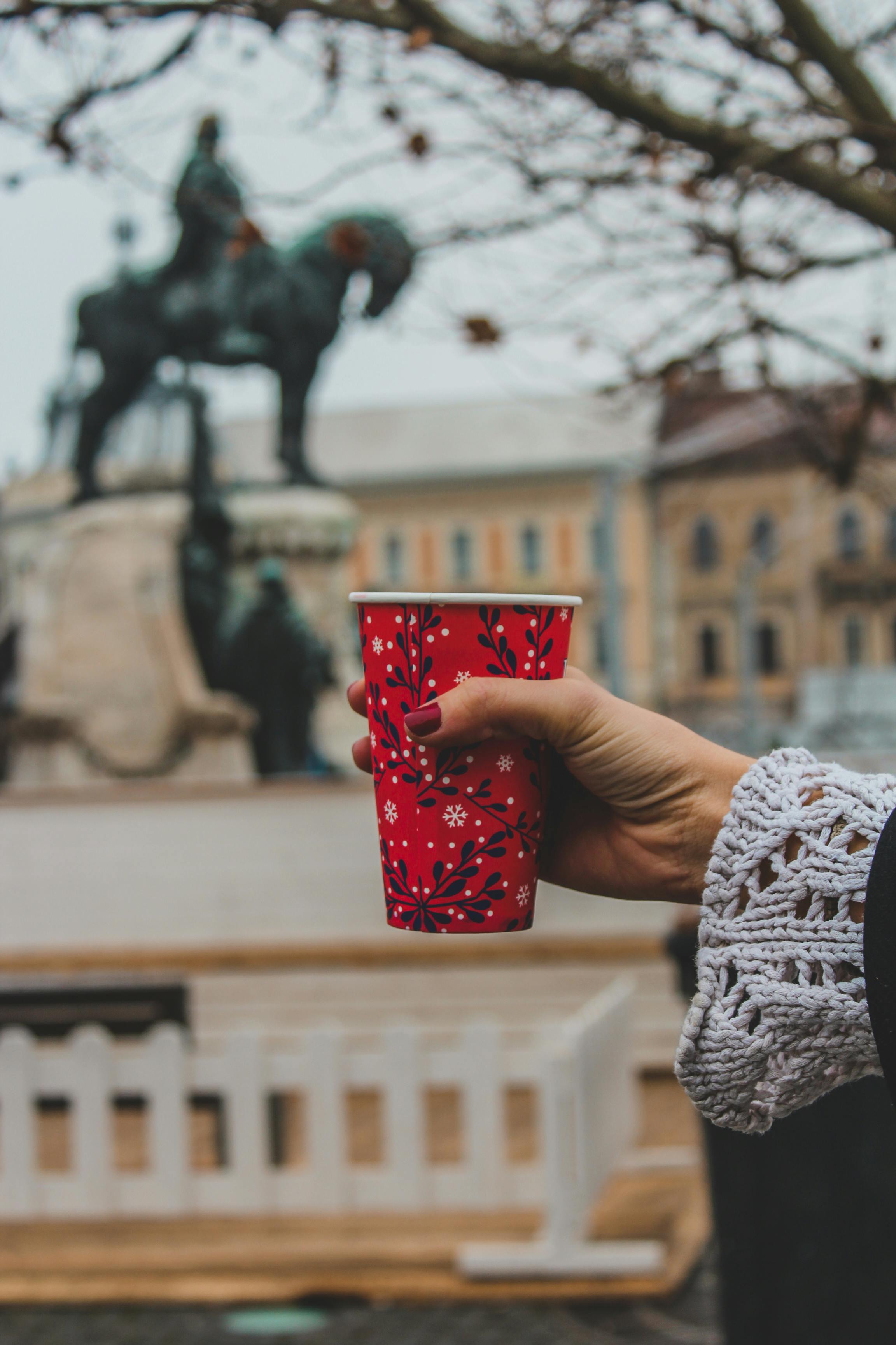 Înscrieri Deschise pentru Târgul de Crăciun 2025 din Pitești!