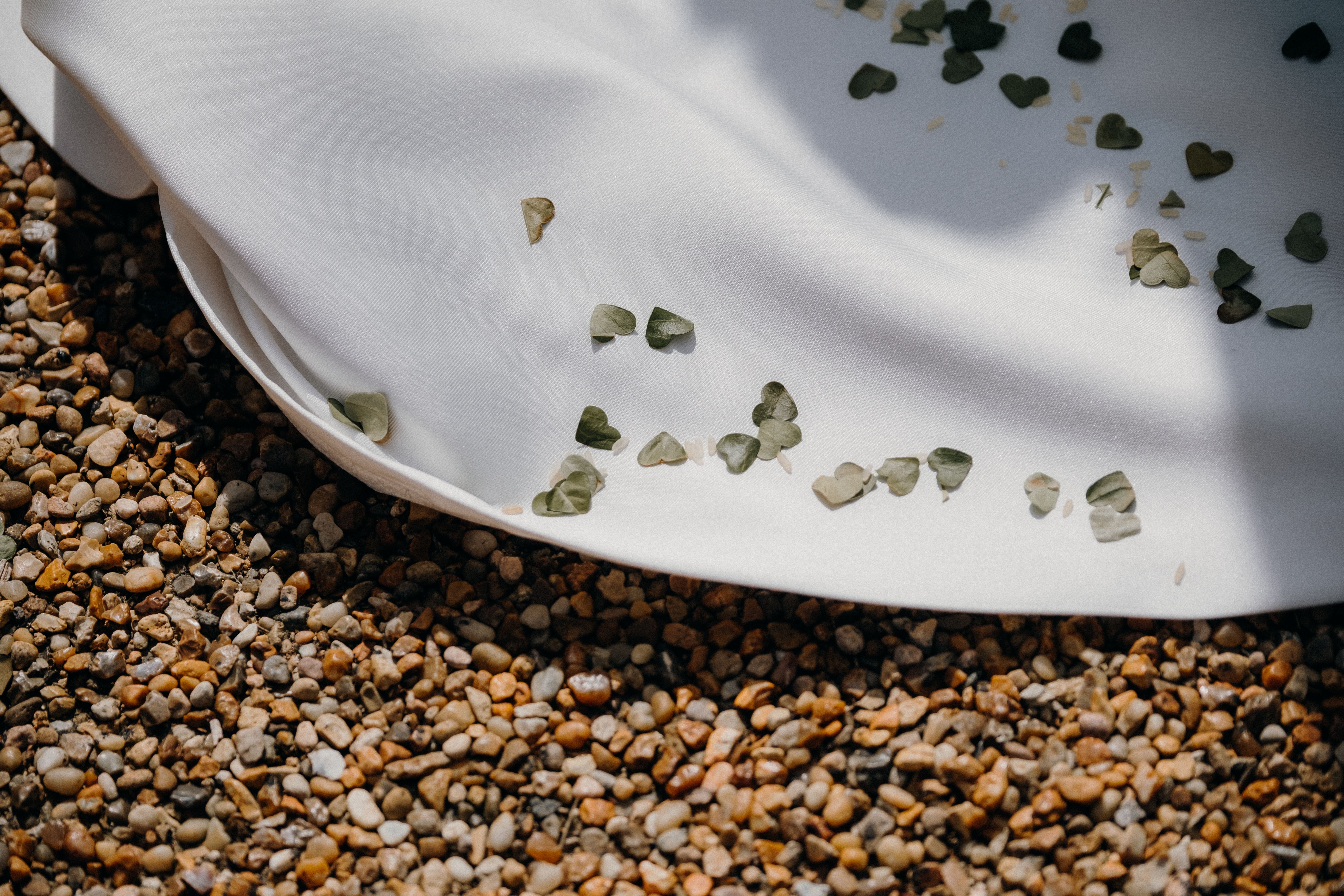 Introduction to Chia Seeds: Context for a 30-Day Health Journey