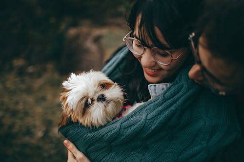 Fotografia Com Foco Seletivo De Filhote De Cachorro Shih Tzu Branco E Bronzeado Carregando Uma Mulher Sorridente