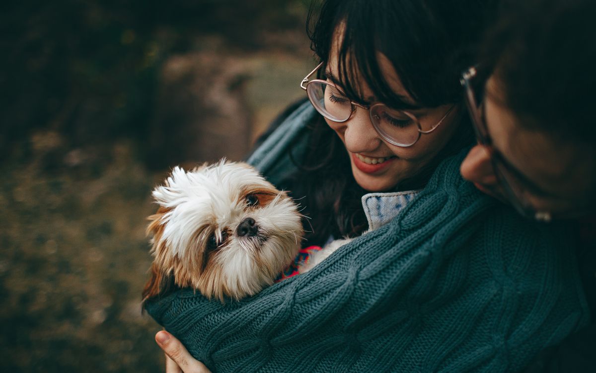 Leash Reactivity: Basics Every Owner Should Know