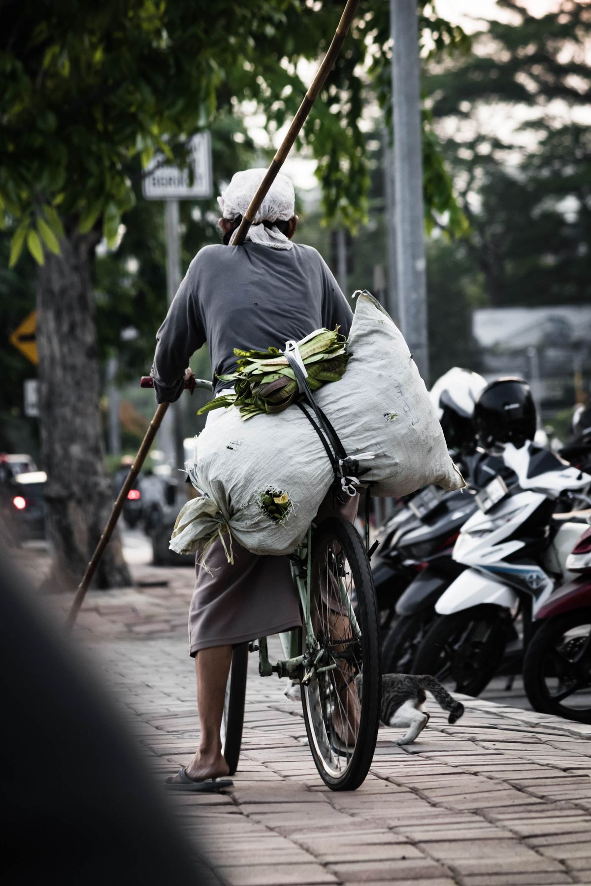 Person transporting bags on a bicycle along a city street