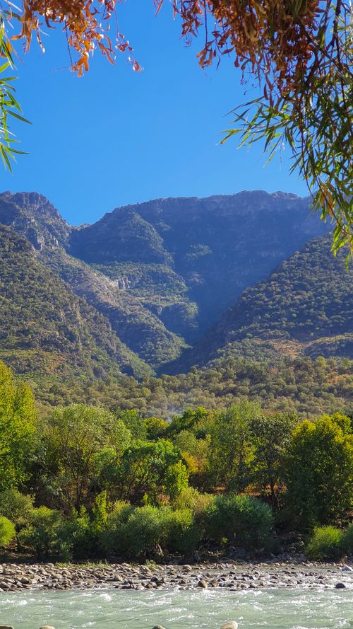 Free Vibrant mountain scenery with lush greenery and a clear flowing stream under a bright blue sky, ideal for nature lovers. Stock Photo