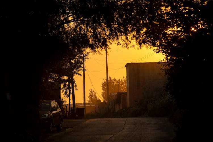 Empty Road Near Houses