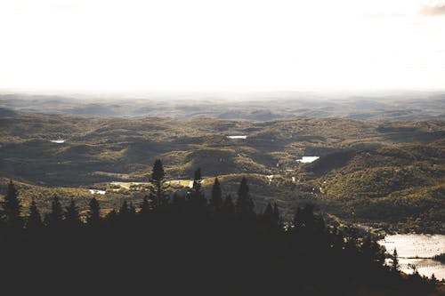 Birds Eye View of a Landscape in the Countryside