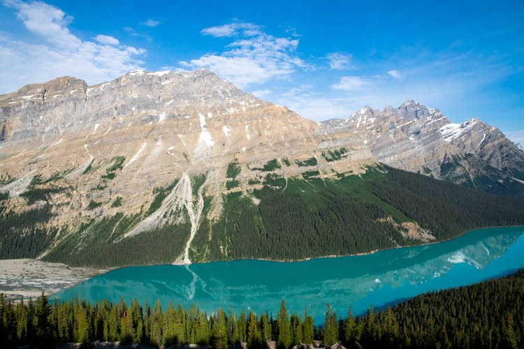 Peyto Lake In Canada