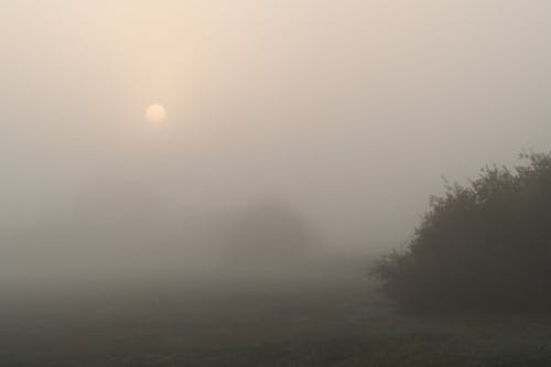Sun Piercing through Fog