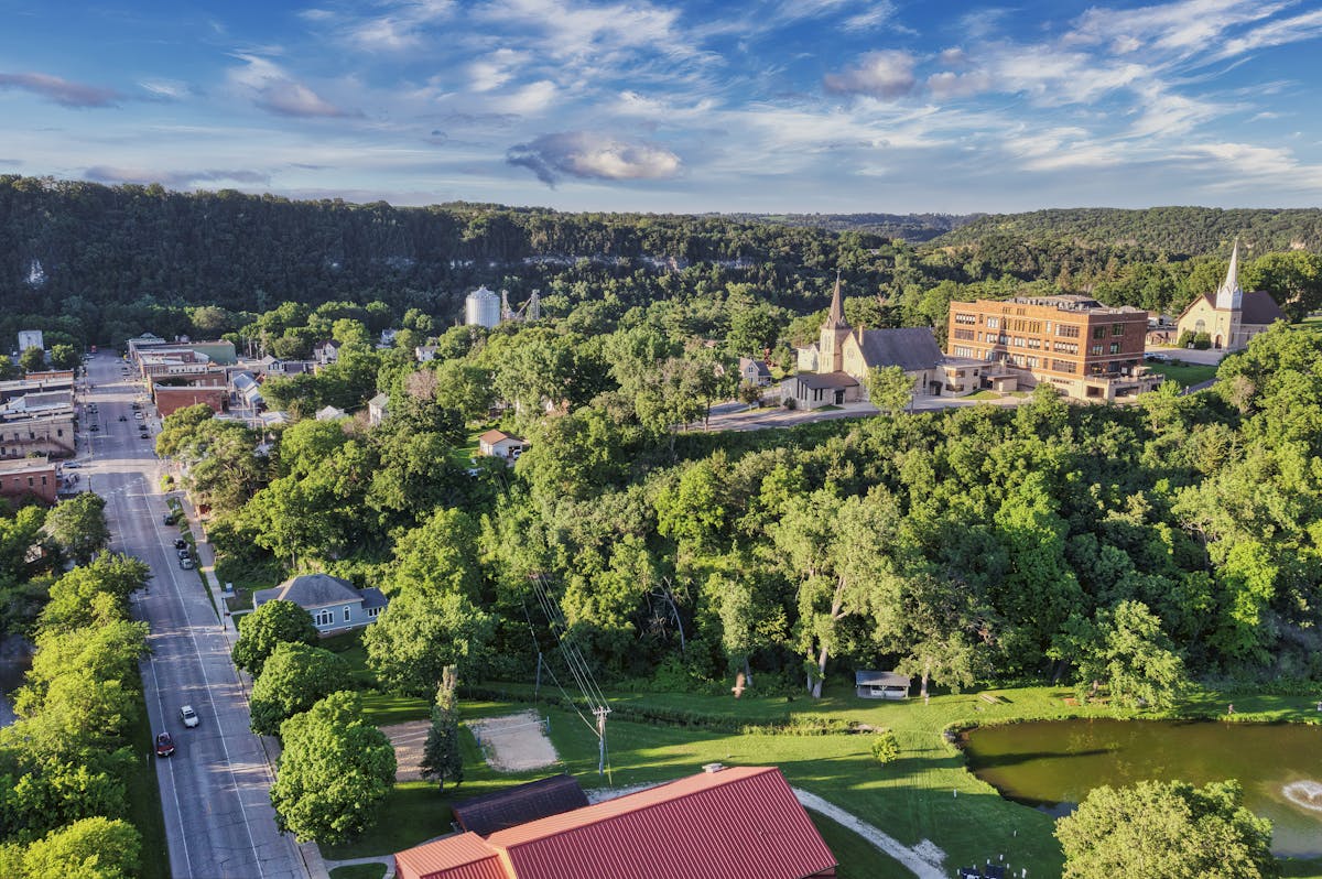 Aerial View of Green Trees Near the Road
