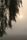 morning sun