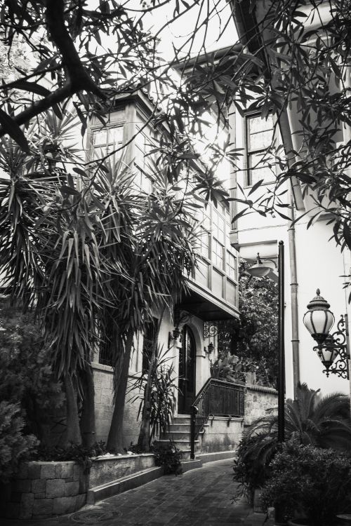 Free A stunning grayscale photograph of a classic building facade surrounded by lush greenery. Stock Photo