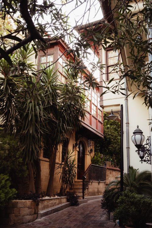 Free Warm and inviting exterior design featuring lush plants and detailed architecture. Stock Photo