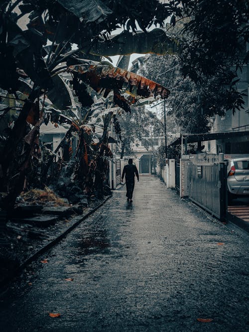 A Person Walking on a Rainy Street