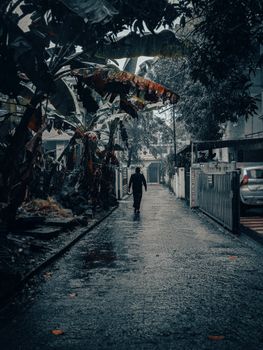 A person walks alone down a wet, rain-soaked street lined with banana trees.