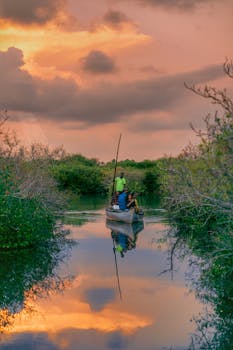 A tranquil boat ride through Munroe Island's lush backwaters during a stunning sunset.