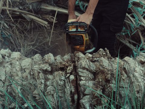 Surface fuels on the forest floor
