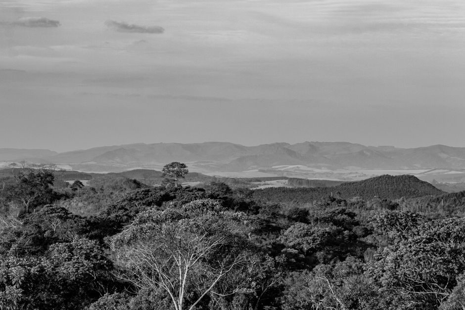Unbeatable 3 Days Amazon Jungle Adventure Tour Review: An Unforgettable Brazilian Wilderness Expedition Review 2026 - Black and white view of São Thomé das Letras, MG's mountain ranges and forests.