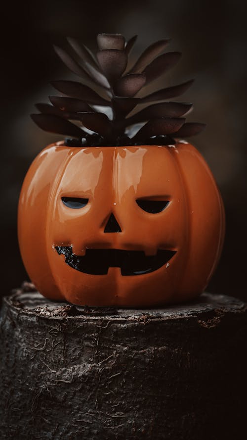 Gratis stockfoto met beeldje, detailopname, jack-o-lantern